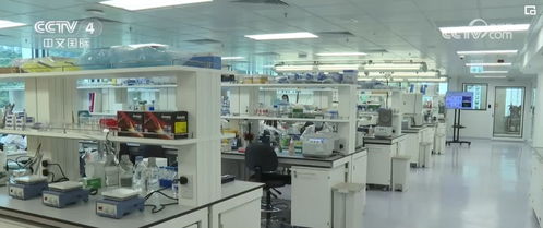 兩會(huì)聚焦 以有分量的計(jì)算機(jī)軟件技術(shù)，賦能經(jīng)濟(jì)、科技與民生發(fā)展新目標(biāo)