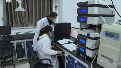 岷縣 以計算機(jī)軟件技術(shù)開發(fā)為引擎，科技創(chuàng)新引領(lǐng)縣域經(jīng)濟(jì)高質(zhì)量發(fā)展